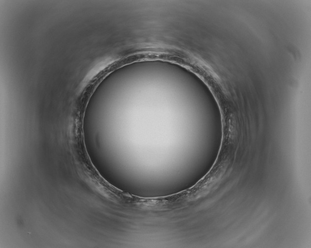 X0000112481352200908241245