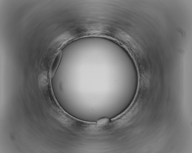 X0000112481353200908241245