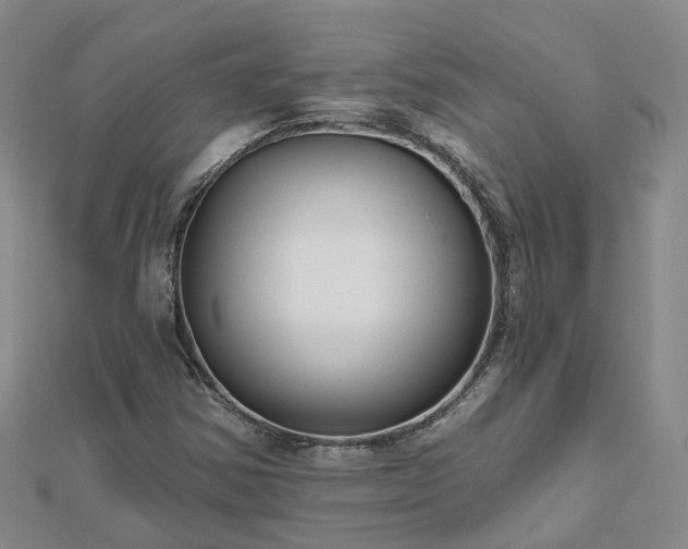 X0000112481354200908241245