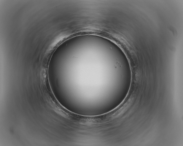 X0000112481355200908241245