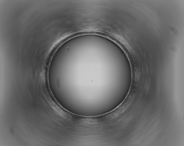 X0000112481356200908241245