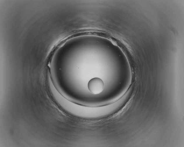 X0000112481357200908241245