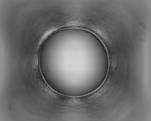 X0000112481358200908241245