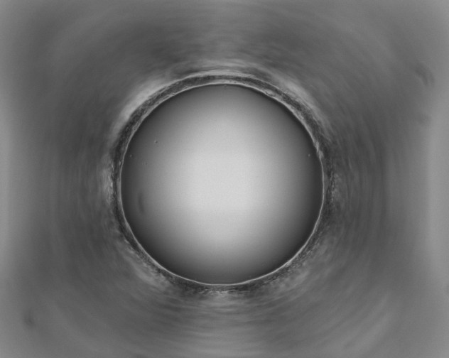 X0000112481360200908241245