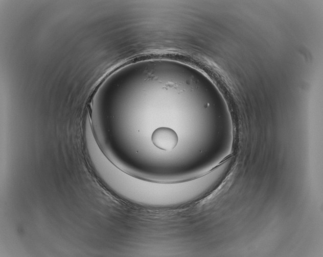 X0000112481361200908241245