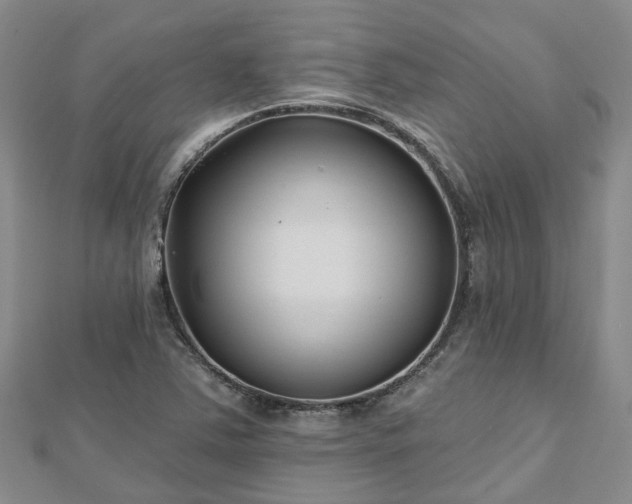 X0000112481363200908241245
