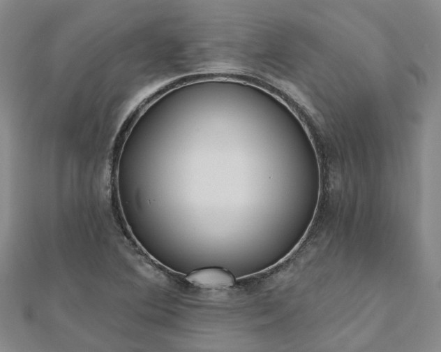 X0000112481364200908241245
