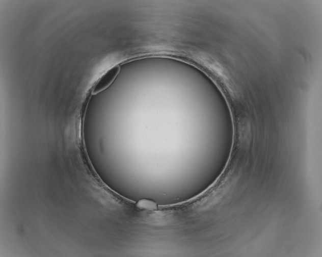X0000112481365200908241245