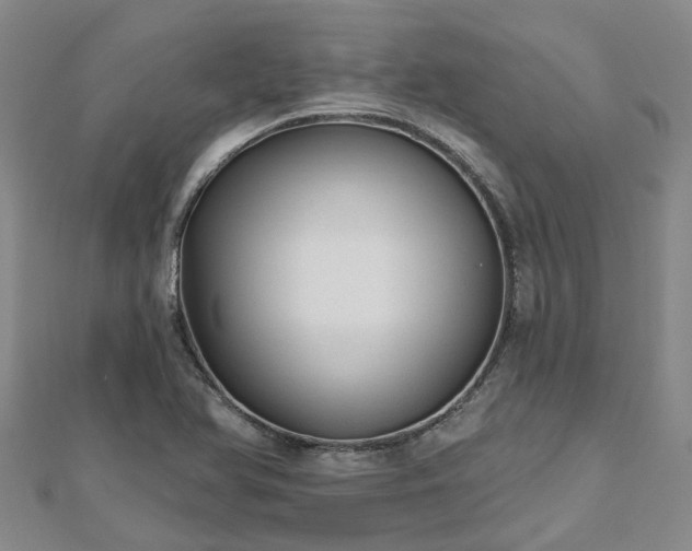 X0000112481366200908241245