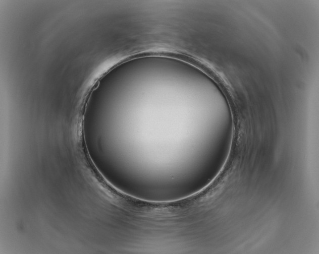 X0000112481367200908241245