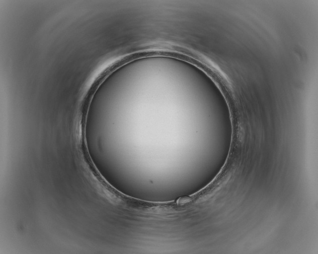 X0000112481368200908241245