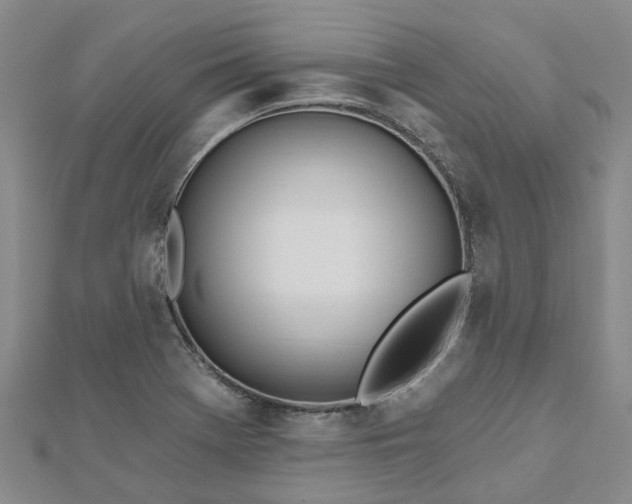 X0000112481369200908241245