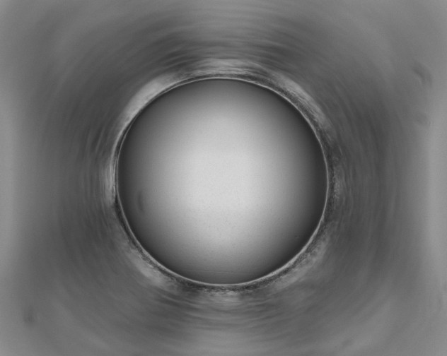 X0000112481370200908241245