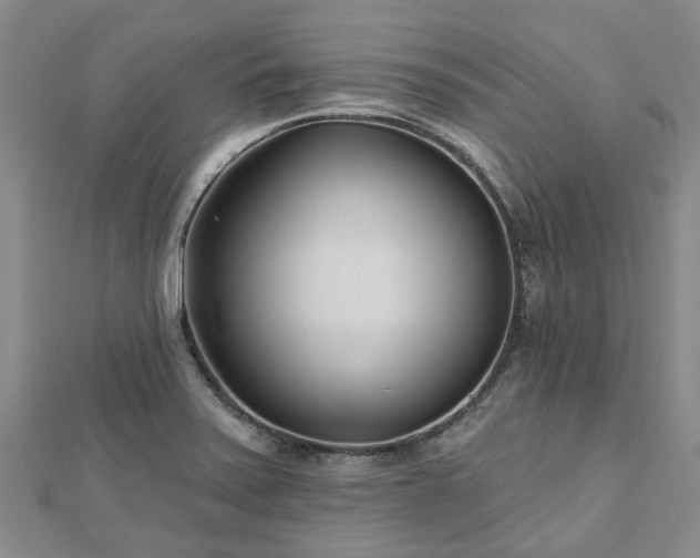 X0000112481371200908241245