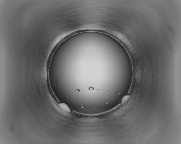 X0000112481372200908241245