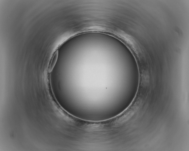 X0000112481373200908241245