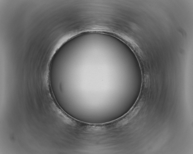 X0000112481374200908241245