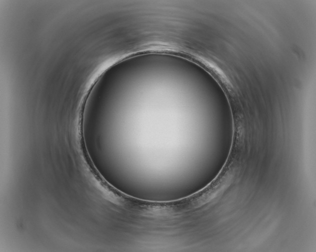 X0000112481375200908241245