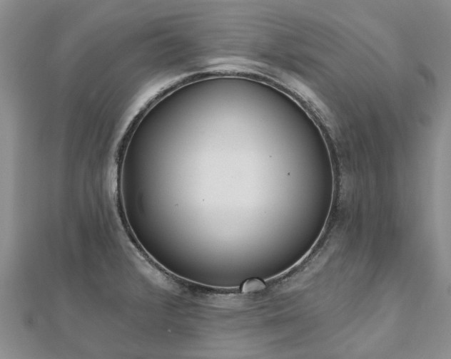 X0000112481376200908241245