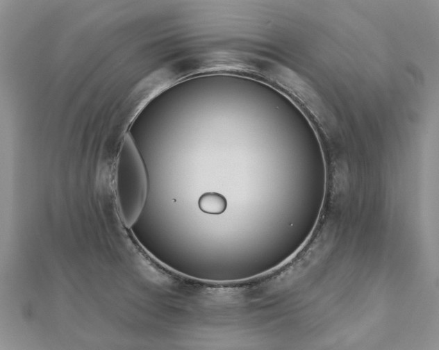 X0000112481377200908241245