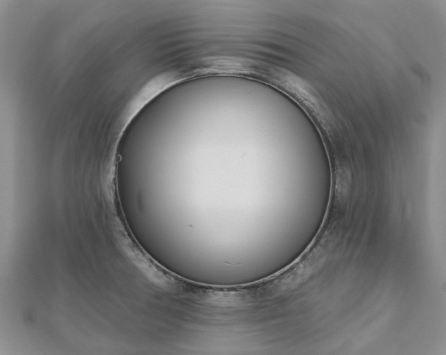 X0000112481378200908241245