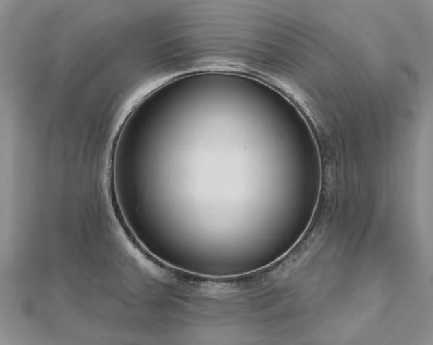 X0000112481379200908241245