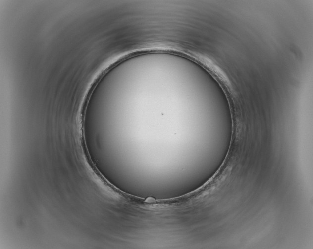 X0000112481380200908241245