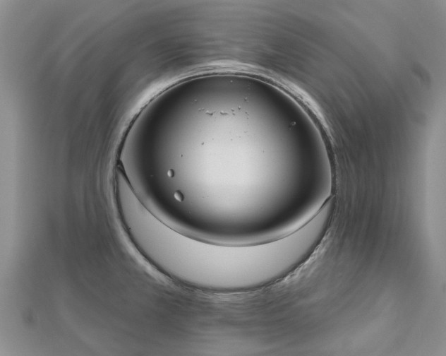 X0000112481381200908241245