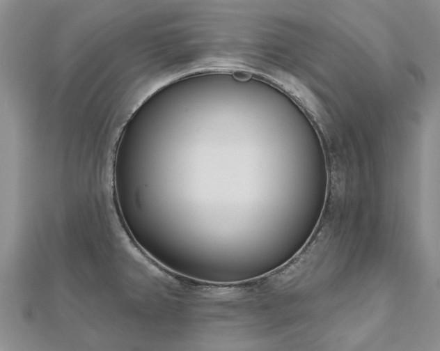 X0000112481382200908241245