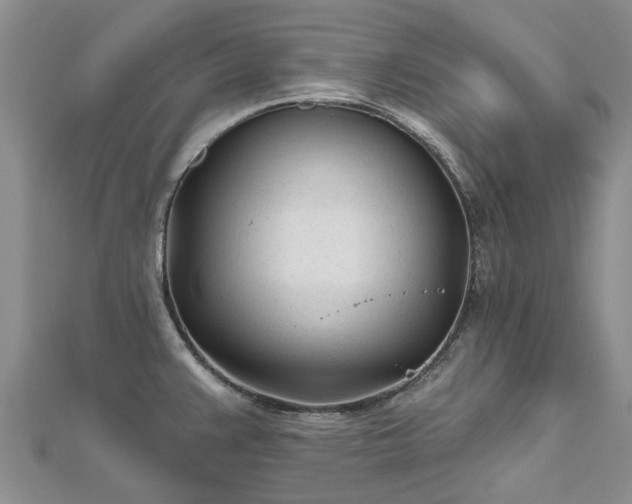 X0000112481383200908241245
