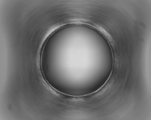 X0000112481384200908241245