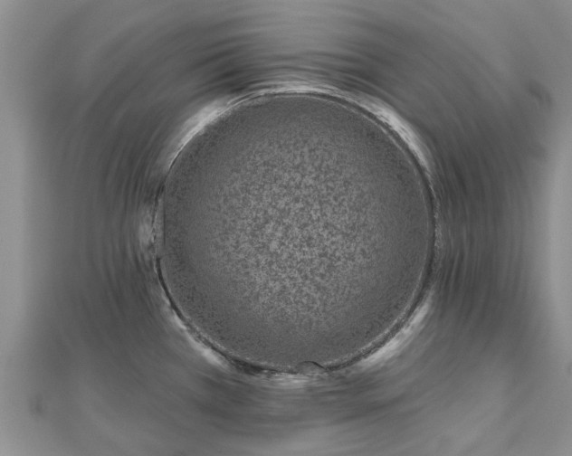 X0000112481385200908241245