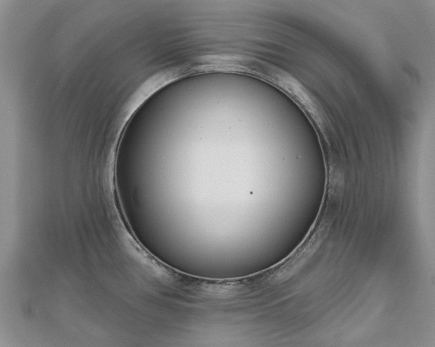X0000112481386200908241245