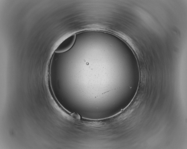 X0000112481387200908241245