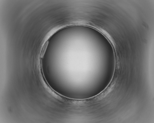 X0000112481389200908241245
