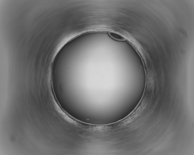 X0000112481390200908241245
