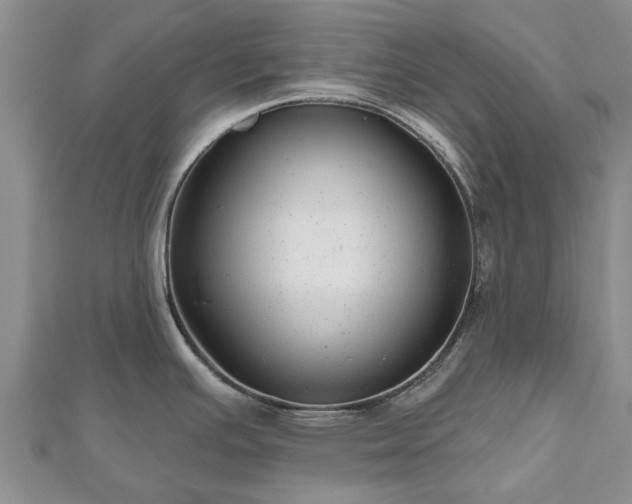 X0000112481391200908241245