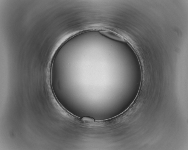 X0000112481392200908241245