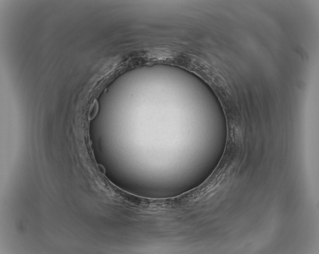 X0000112481393200908241244