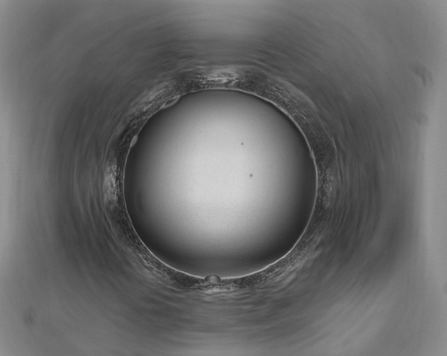 X0000112481394200908241244