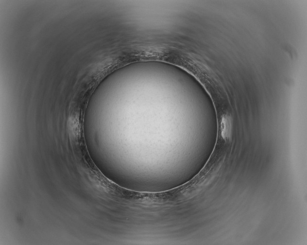 X0000112481395200908241244