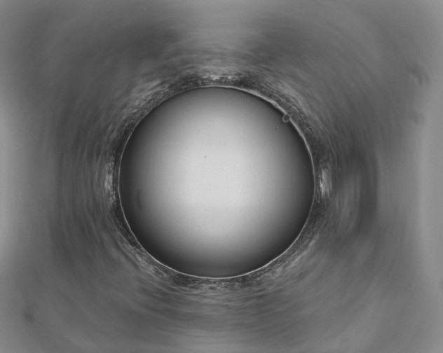 X0000112481396200908241244