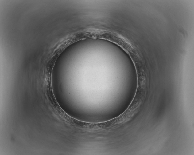 X0000112481397200908241244