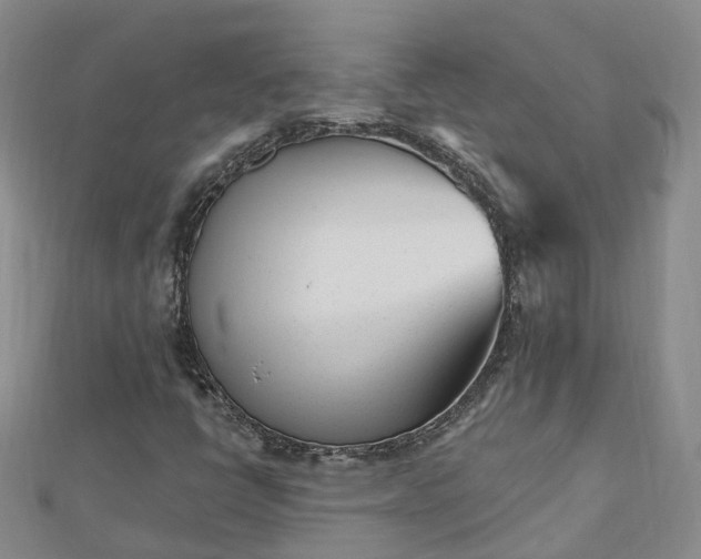 X0000112481398200908241244