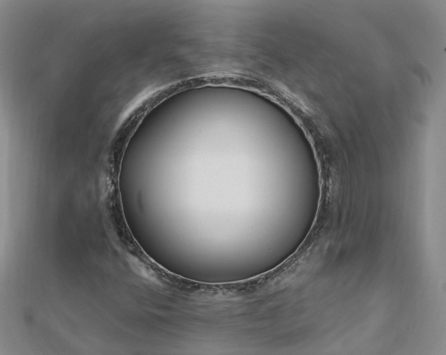 X0000112481400200908241244