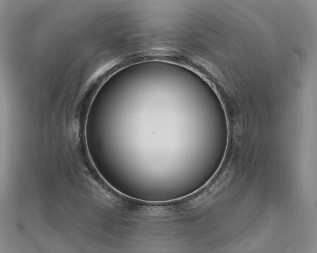 X0000112481402200908241244