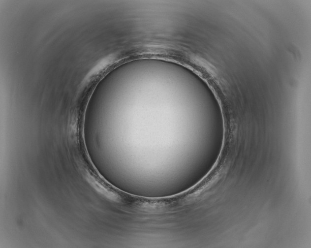 X0000112481403200908241244