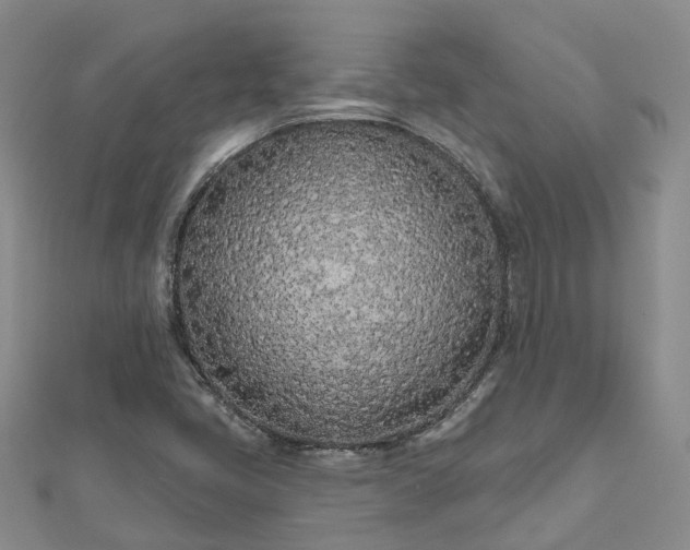 X0000112481405200908241244