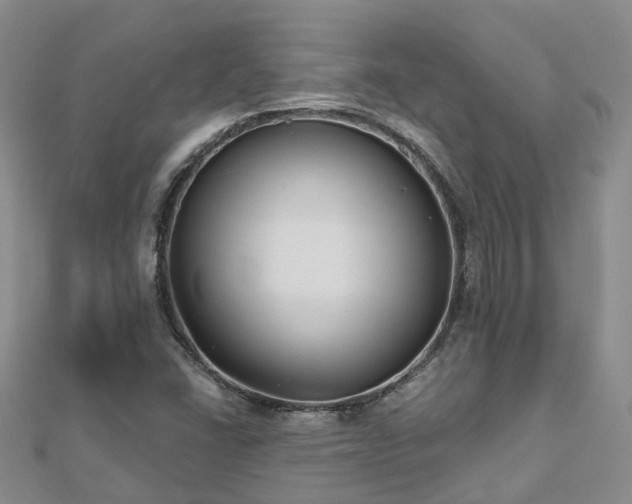 X0000112481406200908241244