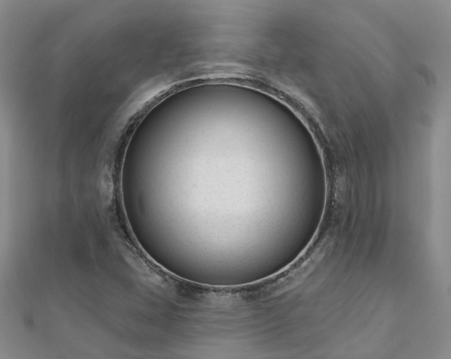 X0000112481407200908241244